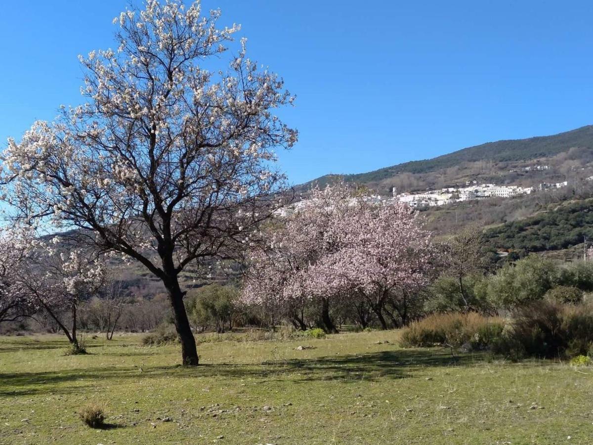 Villa Castano Real à Atalbeitar Extérieur photo